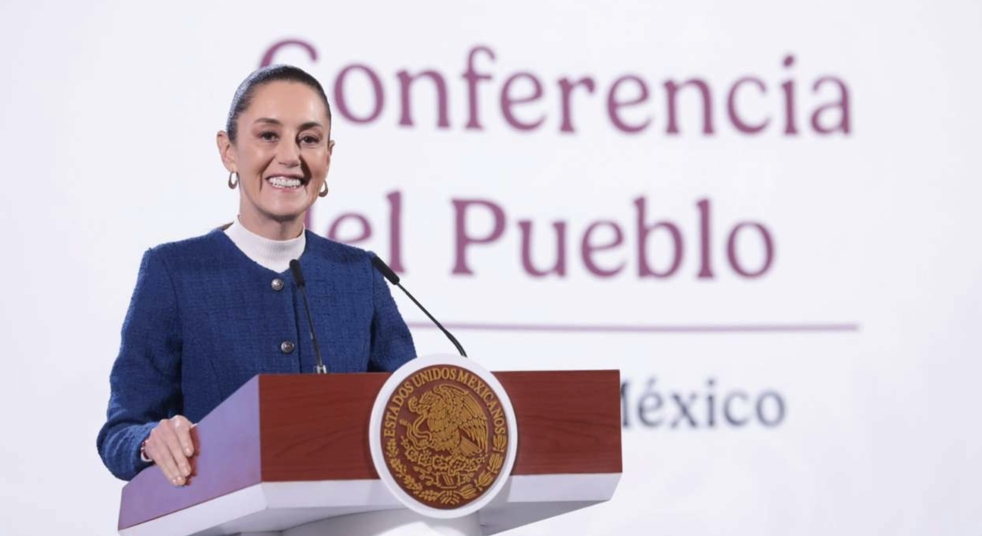 Gobierno federal en febrero presentará leyes para fortalecer Pemex y CFE